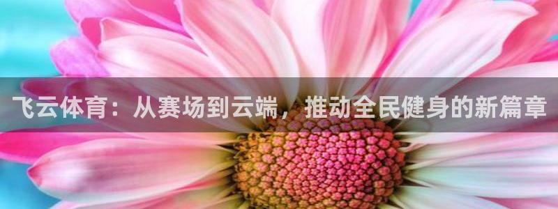 飞云体育：从赛场到云端，推动全民健身的新篇章
