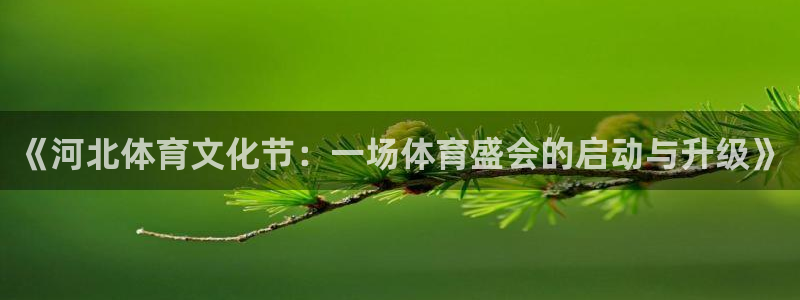 《河北体育文化节：一场体育盛会的启动与升级》