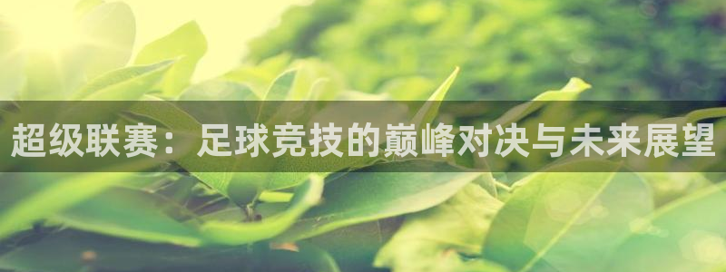 超级联赛：足球竞技的巅峰对决与未来展望