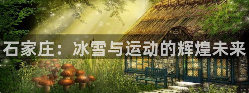 乐球直播足球免费