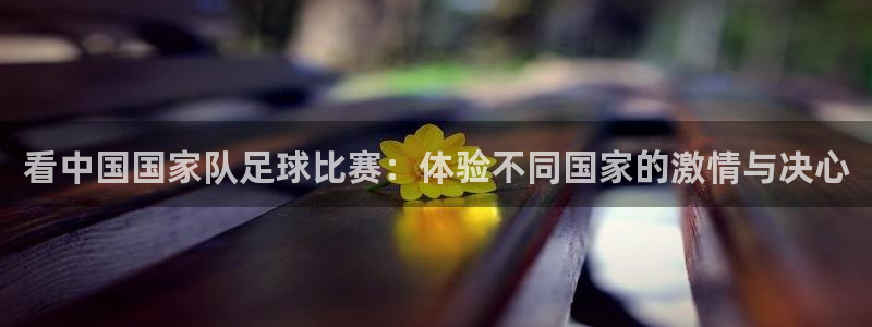 乐球直播免费无插件观看nba